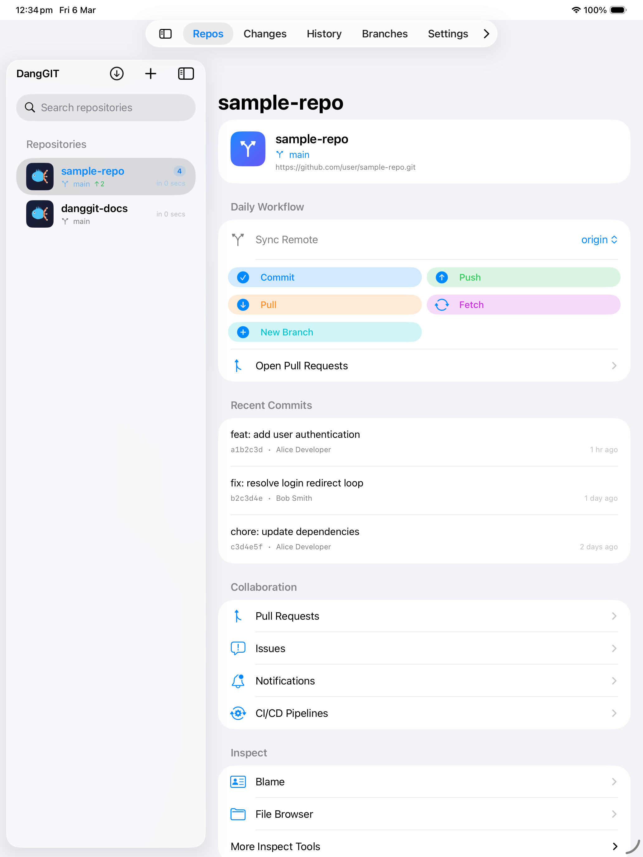 DangGIT repository overview on iPad