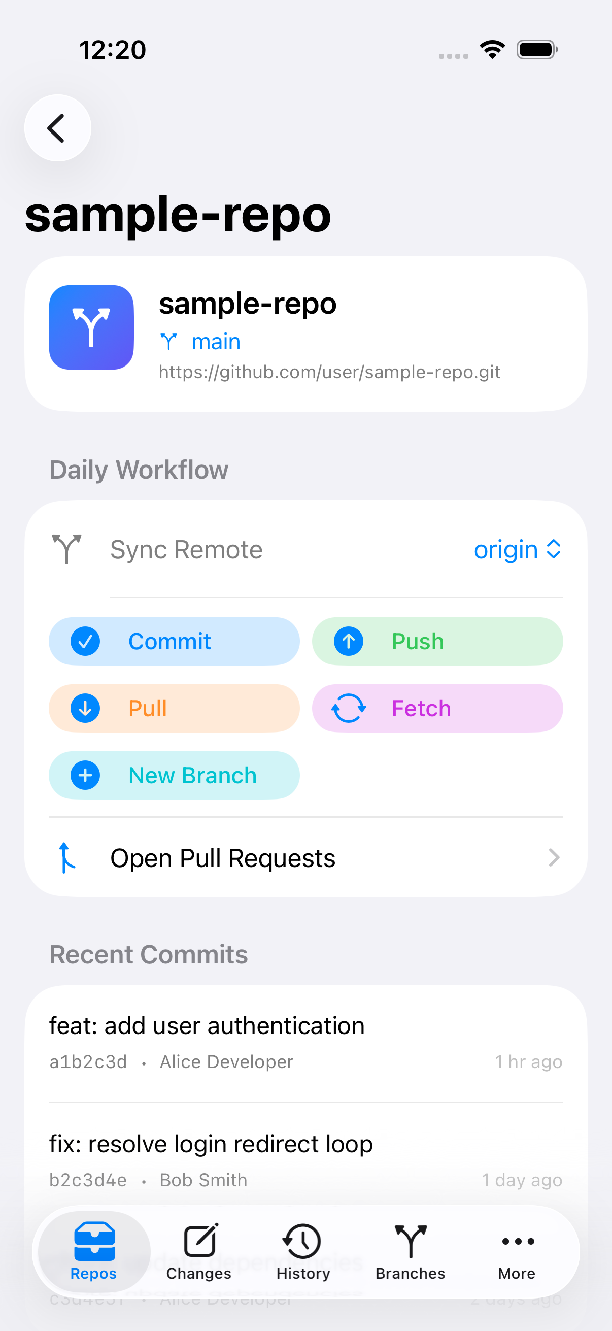 DangGIT repository overview on iPhone